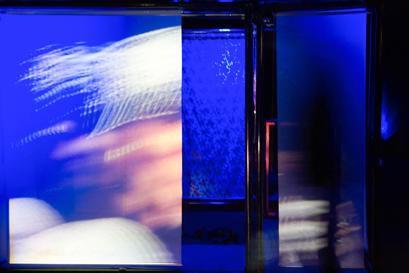 Plastic structure: Film projected on black structure. Performers can be seen in parts.